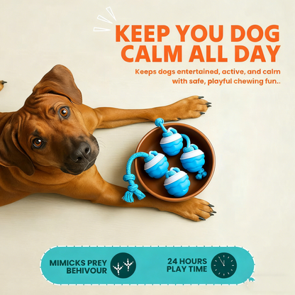 Buddy Dog Boredom Stimulating Toy
