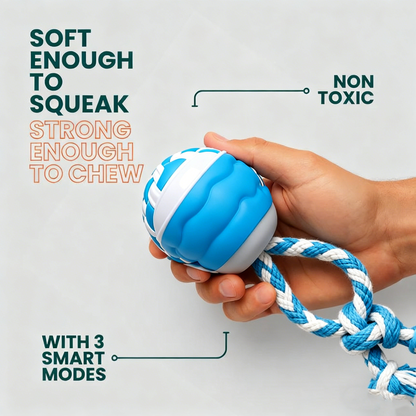 Buddy Dog Boredom Stimulating Toy