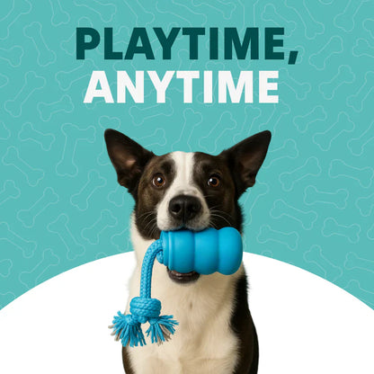 Buddy Dog Boredom Stimulating Toy
