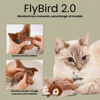 The Fly Bird